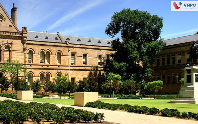 đại học vùng regional Úc